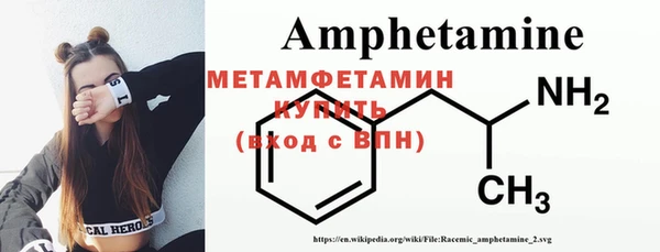 индика Богородицк