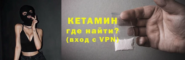 индика Богородицк