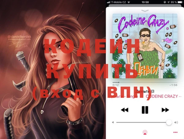 индика Богородицк