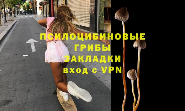 индика Богородицк