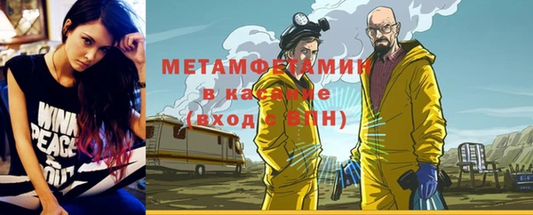 индика Богородицк