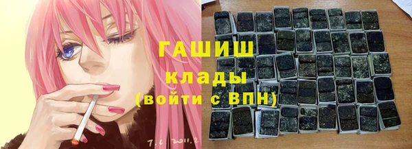 индика Богородицк