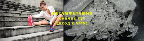 индика Богородицк