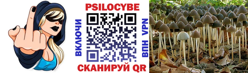хочу наркоту  Чулым  Псилоцибиновые грибы MAGIC MUSHROOMS 